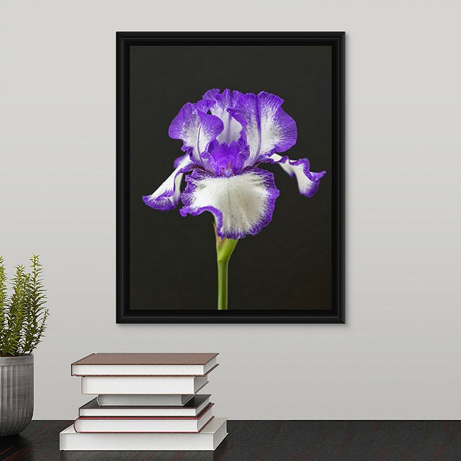 Iris Still Life (color)