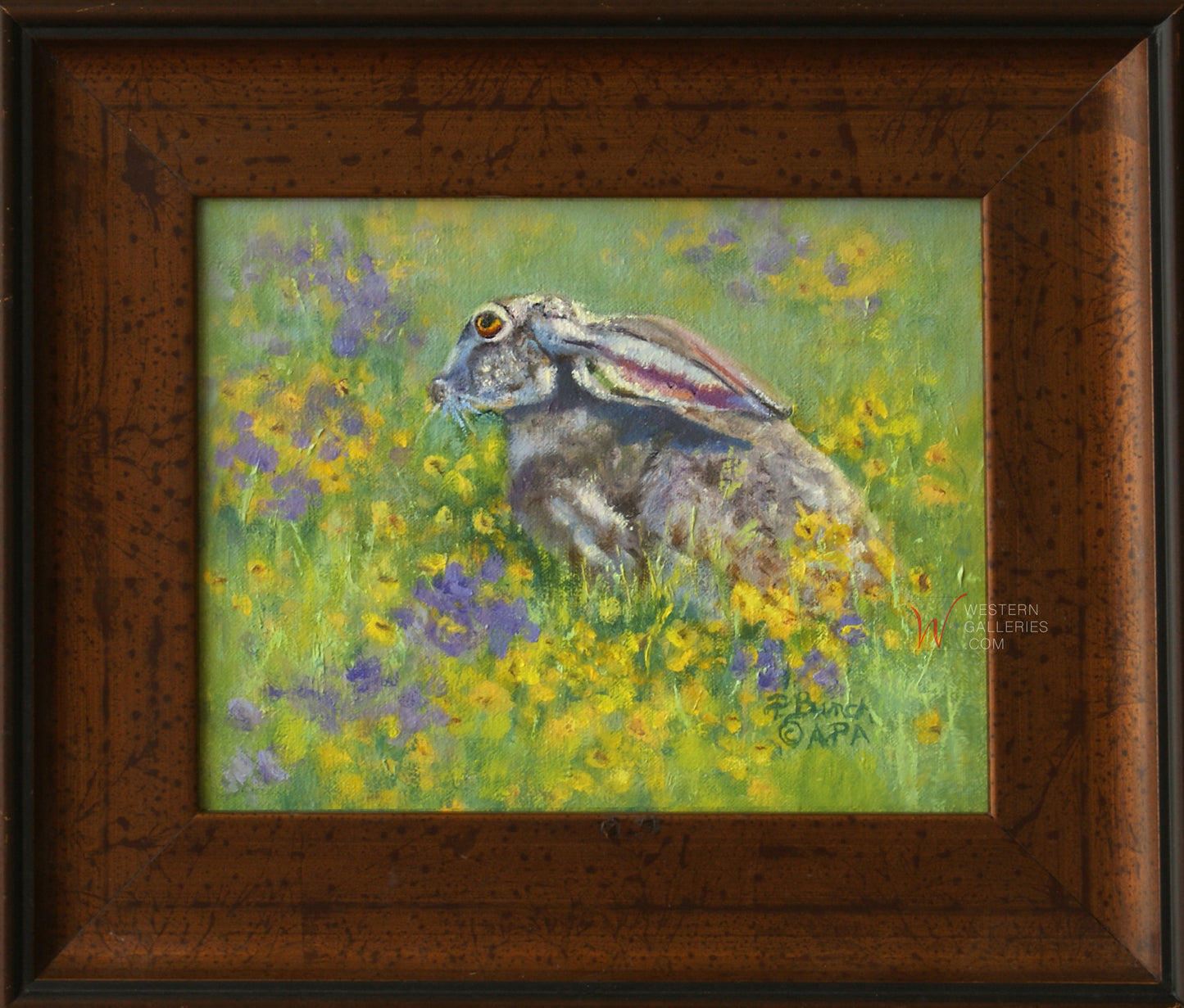 Texas Spring Jackrabbit  NEW