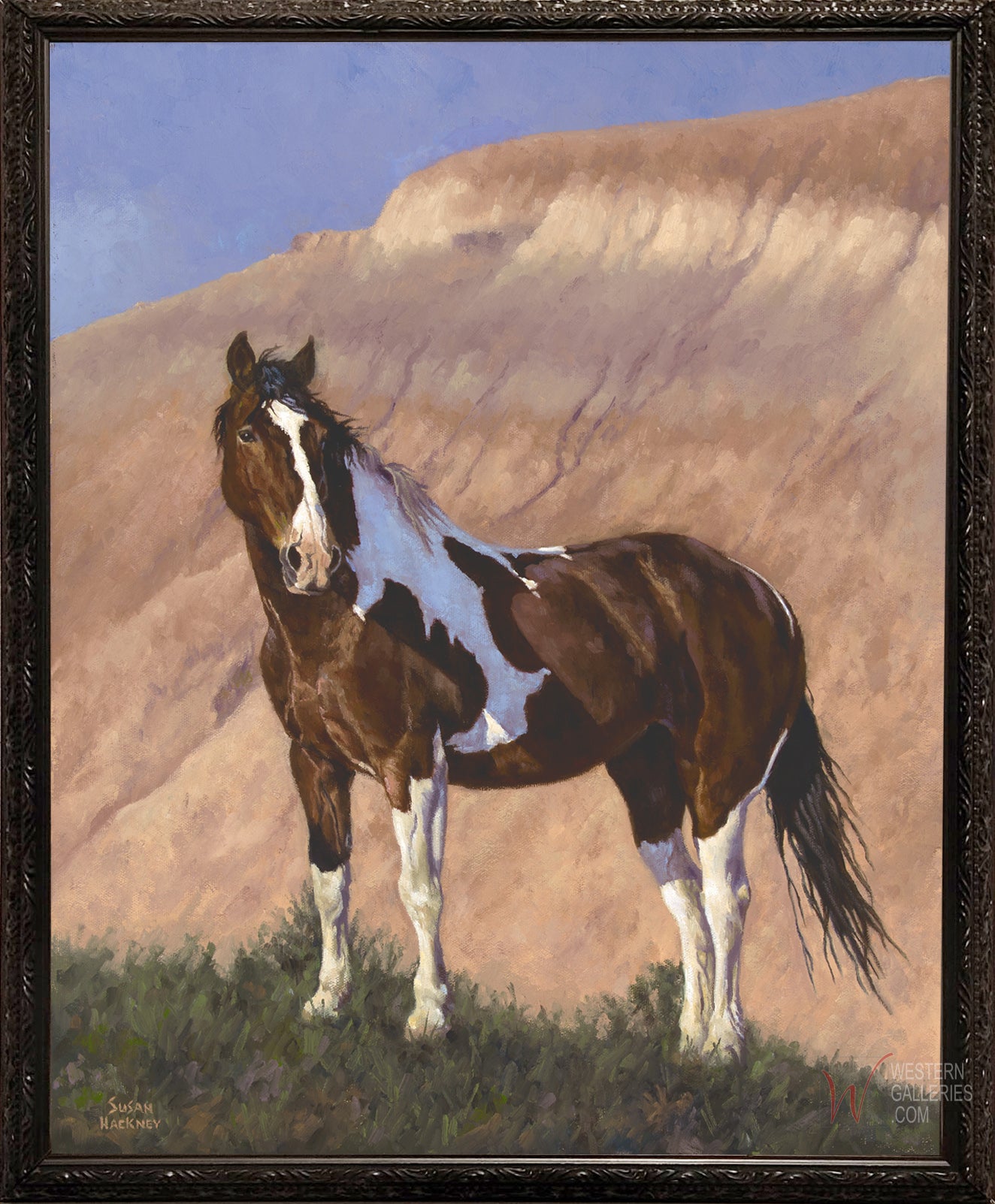 Monarch of The Plains