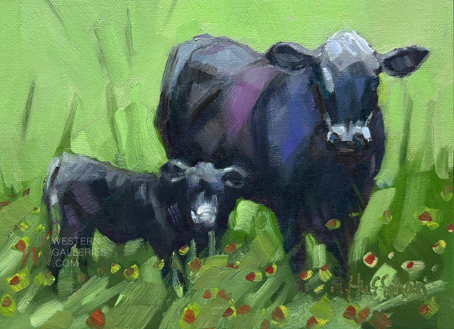 Mother & Baby Black Cows