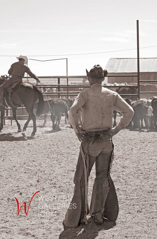 New Mexico Cowboys