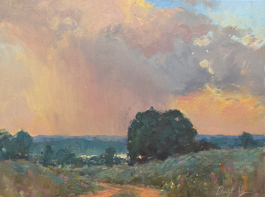 Rainstorm Over Brazos Valley