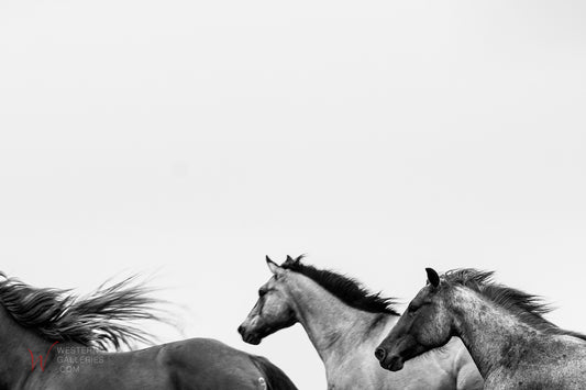 Running Free