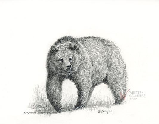 Sharp Claws Grizzly, Original Drawing