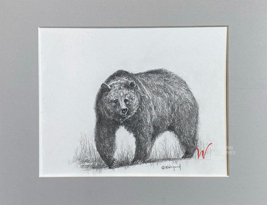 Sharp Claws Grizzly, Original Drawing