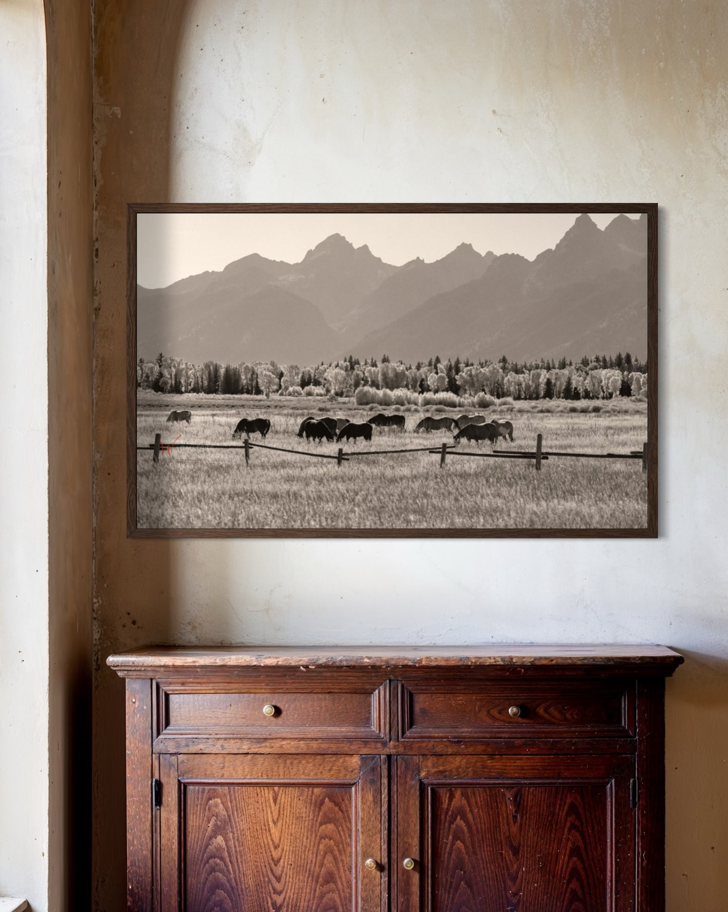 Teton Horses