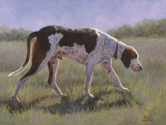 Weary Hound