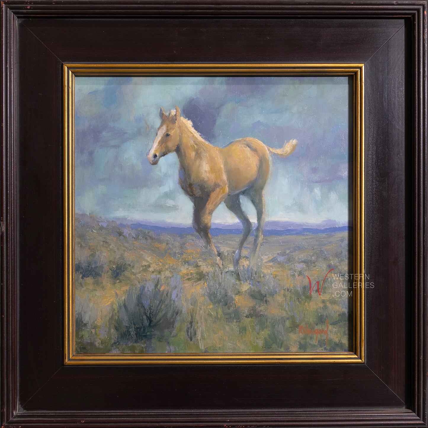 Young Desert Runner NEW