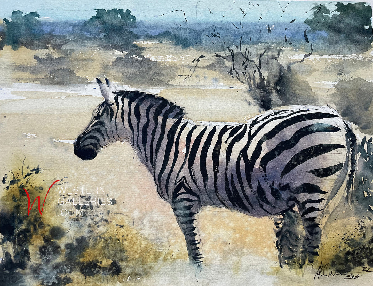 Zebra of Chobe