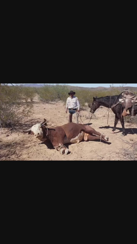 Catching Goliath Color