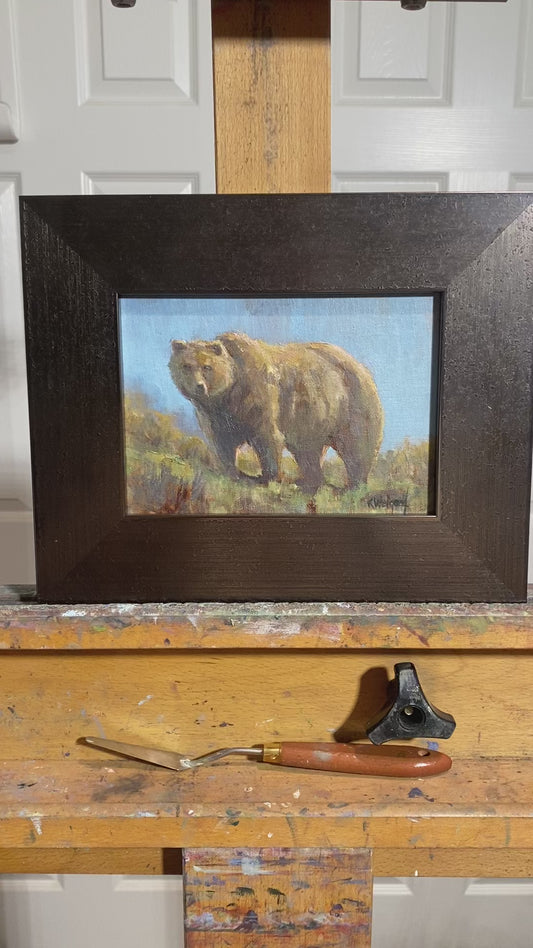 Grizzly Study