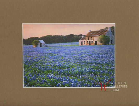 MINI - Bluebonnet Farm