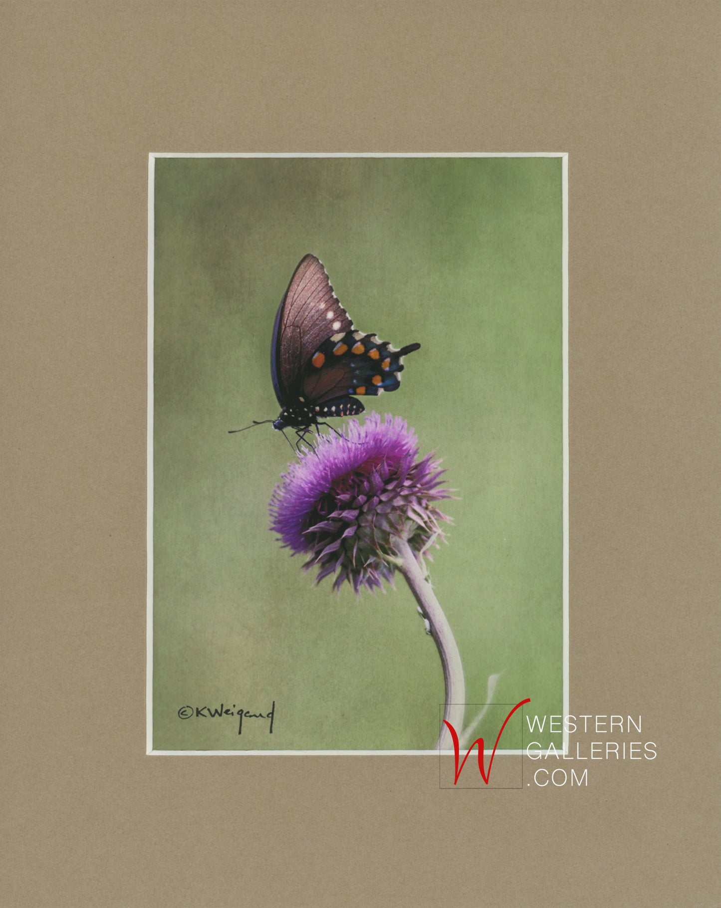 MINI - Butterfly & Thistle