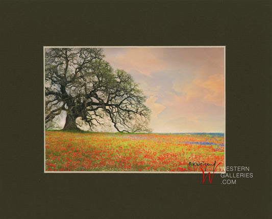 MINI - Giant Oak on Wildflower Hill