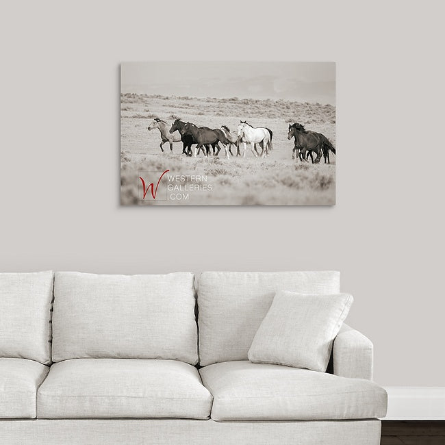 Wild Horses | McCullough Group Trotting