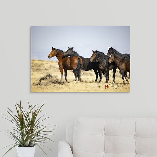 Wild Horses | McCullough Brown Family I