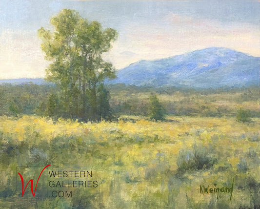 Taos Summer