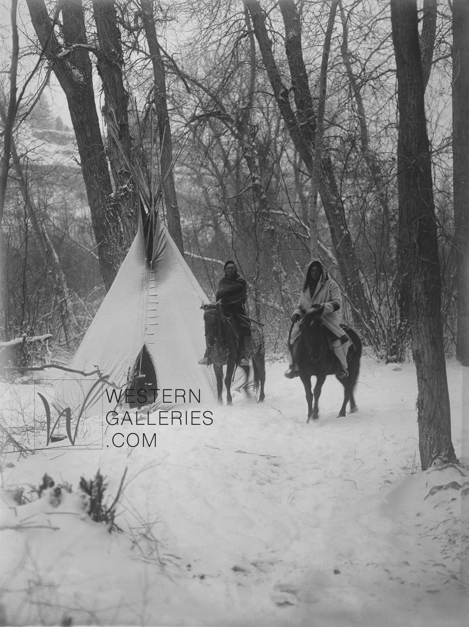 Vintage Collection – Western Galleries