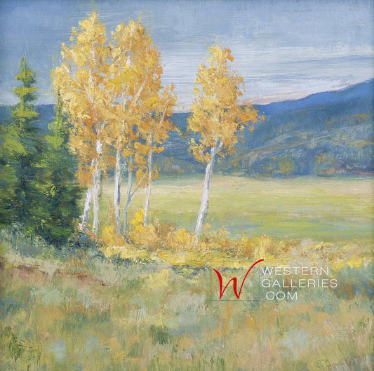 Yellowstone Aspen Grove