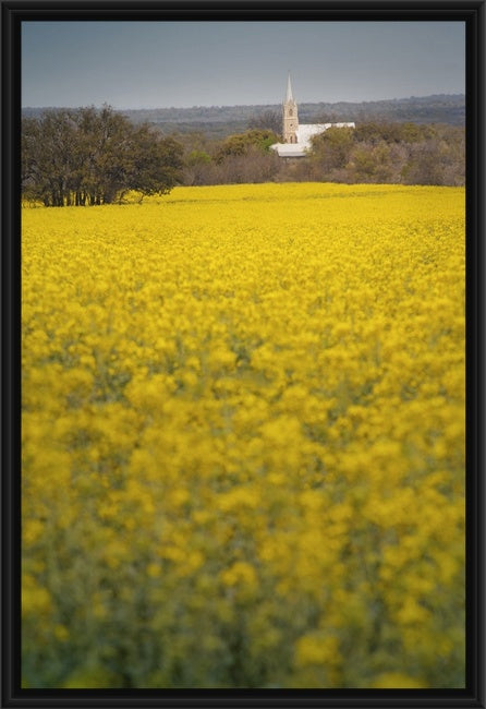 Field of Gold, Doss Tx