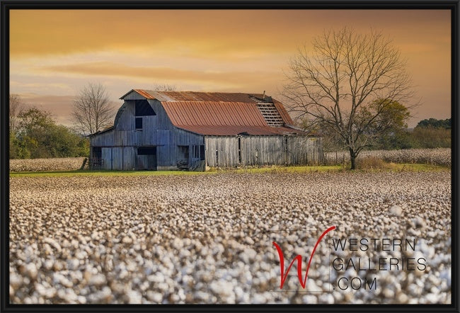 Tennessee Cotton Barn
