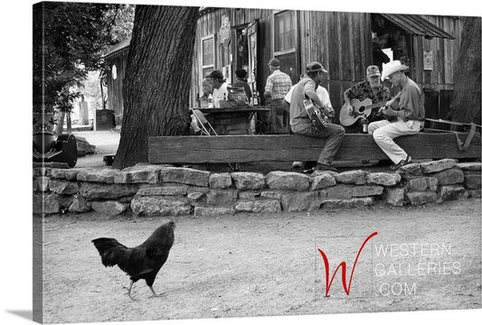 Playing Till The Chickens Come Home